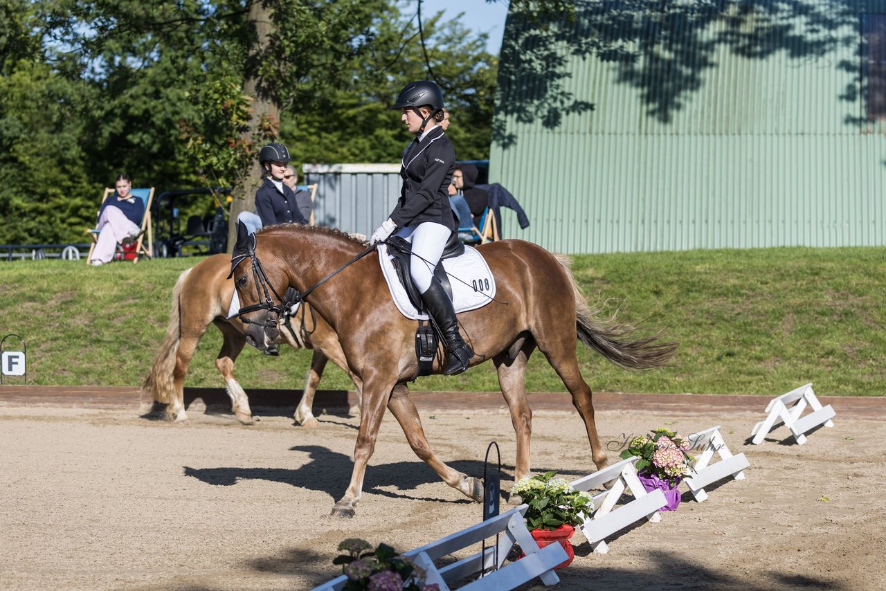 Bild 10 - Pony Akademie Turnier